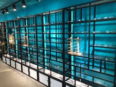 -Trend1881视光·蔡司视觉(领展广场店)