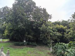 -张坝桂圆林公园