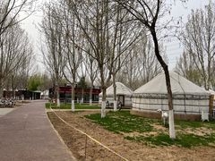 -九十九顶毡房(阜石路店)