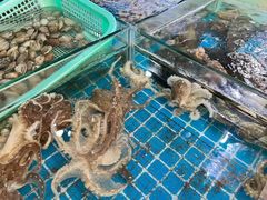 -海之鲜大排档(东山海鲜金銮湾店)