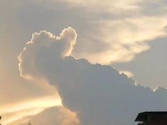 -啡语