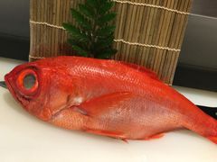 -提香日本料理