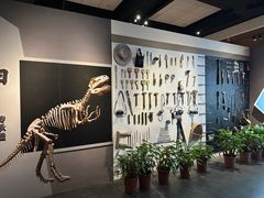 -自贡恐龙博物馆