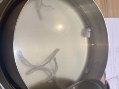 -探窝·竹笙椰子鸡(杨箕店)