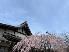 -奈良公园