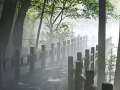 -国家植物园南园