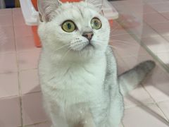 -FAELING PETS美天灵宠物(富力广场店)