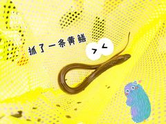 -新江湾城公园