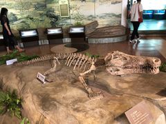 -自贡恐龙博物馆