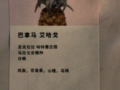 -JOHANDY COFFEE VOYAGE(水围1368文化街区店)