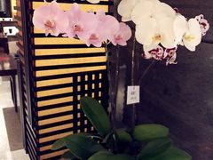 -富力希尔顿酒店·源氏日餐厅