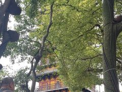 -常熟方塔园