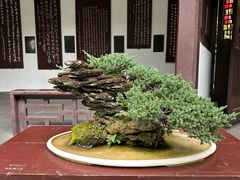 -成都杜甫草堂博物馆