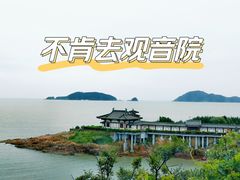 -紫竹林