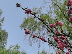 -杭州西湖柳莺里酒店·闻莺厅