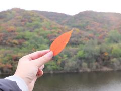 -鬼笑石后山停车场