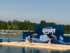 -秦皇岛乐岛海洋王国