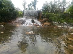 -成飞公园