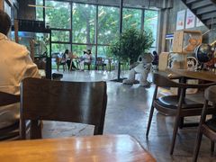 -了不起的考拉咖啡店(高新店)