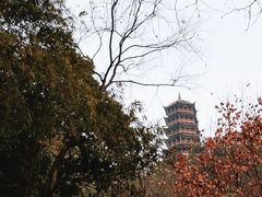 -都江堰景区