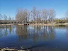 -东郊湿地公园