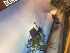 -望湘园·洞庭渔宴(浦江欢乐颂店)