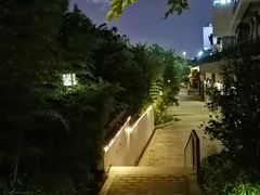 -光明港公园