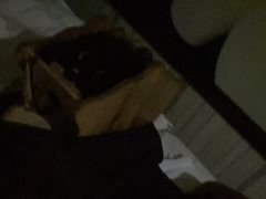 -东方之珠洗浴休闲广场(和平店)