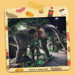 -恐龙探索乐园(磁器口店)