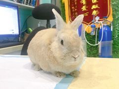 -雨林宠物医院 非犬猫异宠专科