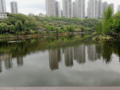 -重庆彩云湖湿地公园