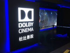 -万达影城(闵行颛桥万达广场杜比影院店)