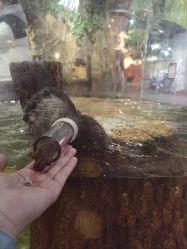 -Zoolung Zoolung动物主题公园(海信广场店)