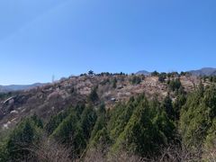 -白水寺森林公园