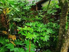 -宁海森林温泉