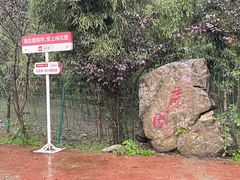 -鹿院坪生态旅游景区