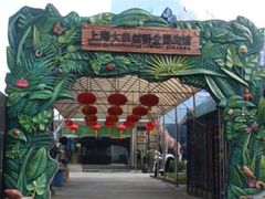 -上海大自然野生昆虫馆(东方明珠·爬宠昆虫探索中心)