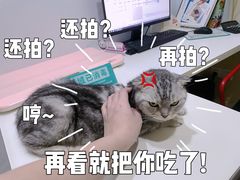 -立德动物医院·24小时中心(番禺区院区)