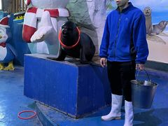 -泉城欧乐堡海洋极地世界