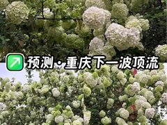 -大龙山(地铁站)