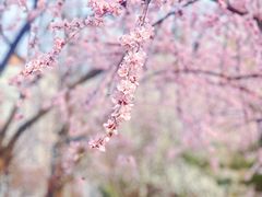 -安定门(地铁站)