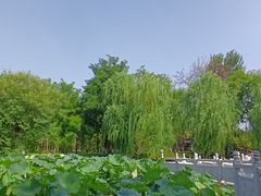 -莲湖公园