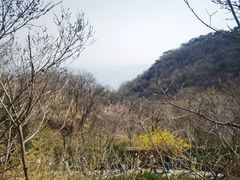 -天津盘山风景名胜区