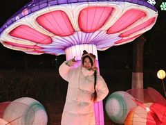 -沈阳奥体冰雪嘉年华