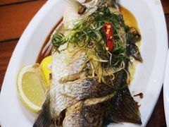 -悉尼鱼市场