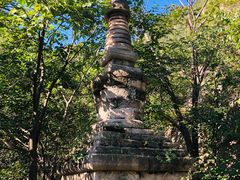 -北京凤凰岭