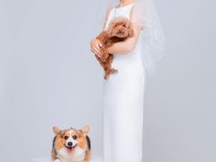 -ID.PHOTO照相馆(嘉里企业中心店)