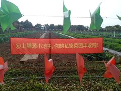 -上膳源有机农场
