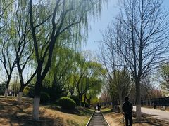 -永定河休闲森林公园