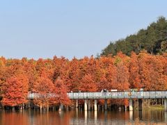 -青山湖景区